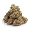 Sativa-Jamaican Haze Sativa-Jamaican Haze