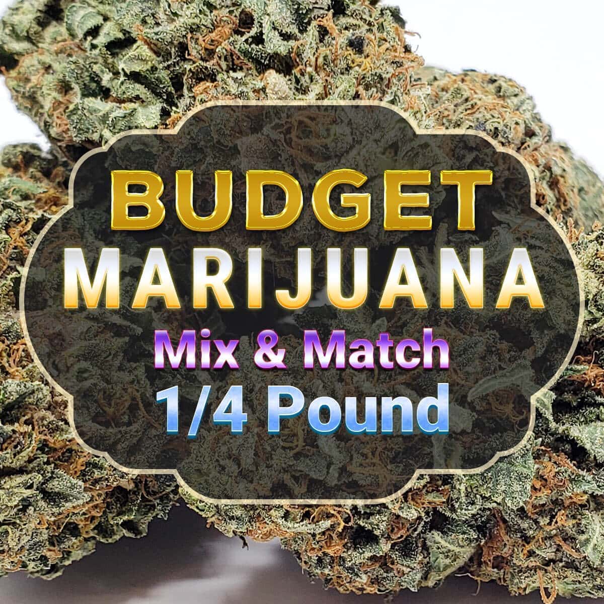 $250 MIX IT UP BUDGET FLOWERS: 4 X 28G $250 MIX IT UP BUDGET FLOWERS: 4 X 28G