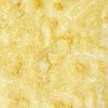Girl Scout Cookies Shatter Girl Scout Cookies Shatter