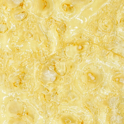 Girl Scout Cookies Shatter Girl Scout Cookies Shatter