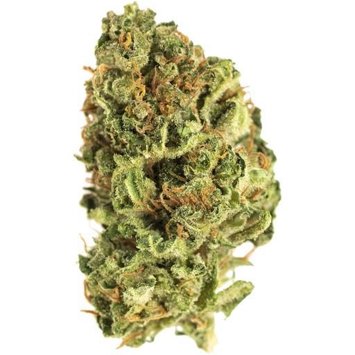 Sativa: SWEET JERSEY 3 (JEAN GUY) Sativa: SWEET JERSEY 3 (JEAN GUY)