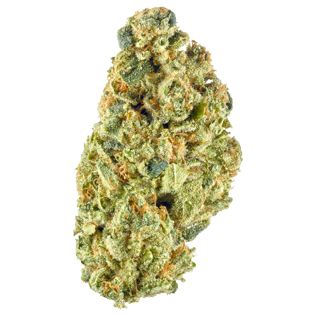Hybrid: HEADBAND Hybrid: HEADBAND