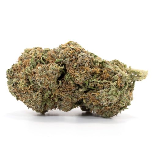 Hybrid- Grape Crush