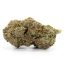 Hybrid- Grape Crush