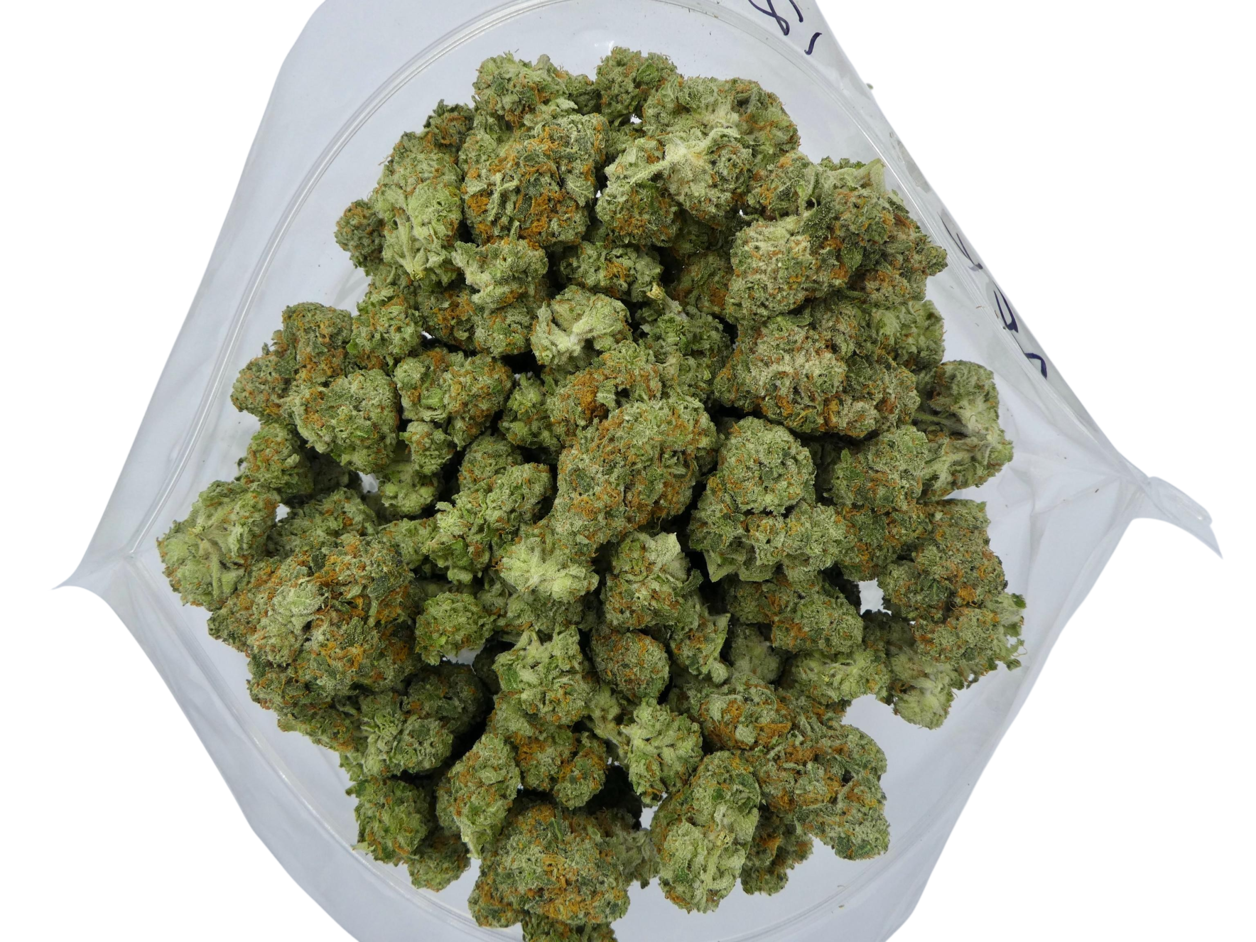 28 Grams Budget Deal: Tuna Kush 28 Grams Budget Deal: Tuna Kush