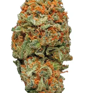 28 Grams Deal: AK-47