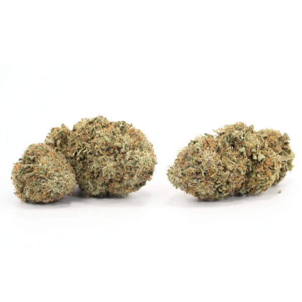 Sativa-Acapulco Gold Sativa-Acapulco Gold - Image 2