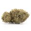 Sativa-Acapulco Gold Sativa-Acapulco Gold
