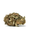 Indica: RENEW (ALIEN DAWG)