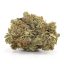 Indica-Chemdawg