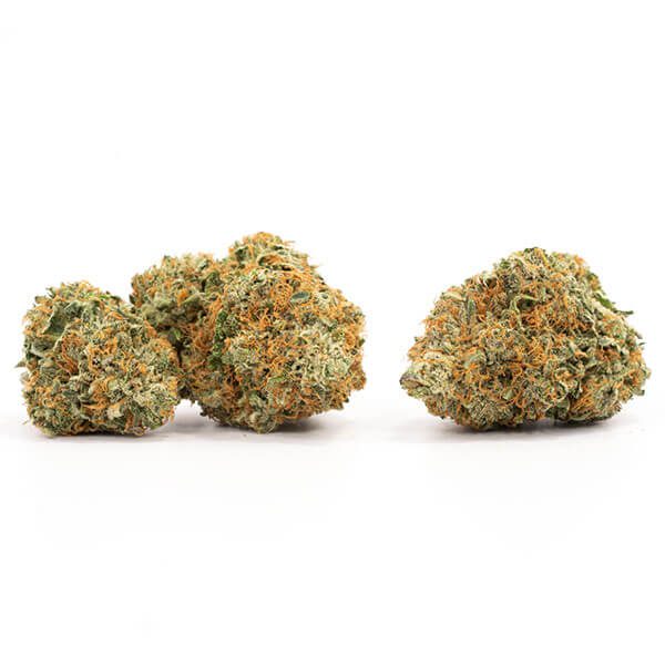Indica: Comatose Indica: Comatose - Image 2