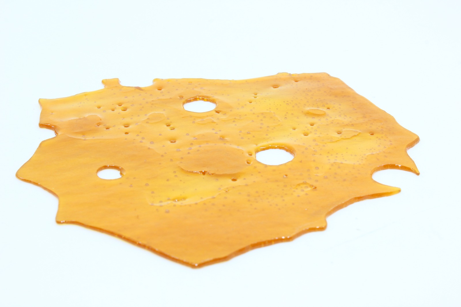 Mimosa Shatter Mimosa Shatter