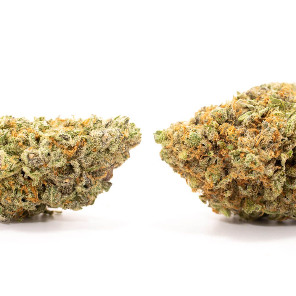 Indica: GOD BUD Indica: GOD BUD - Image 2