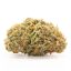 Indica: GOD BUD Indica: GOD BUD