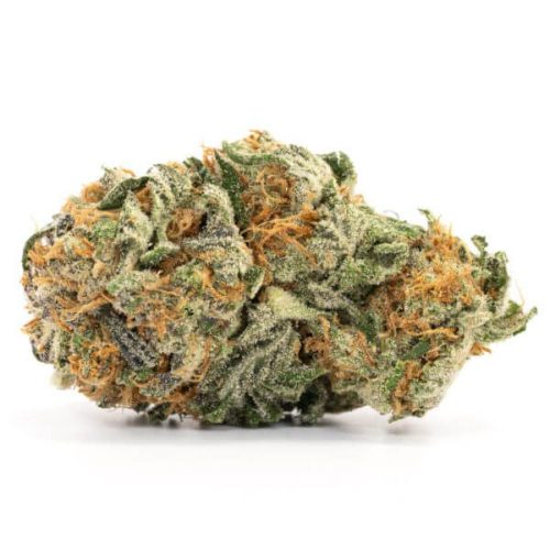 Indica -Greasy Pink