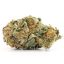 Indica -Greasy Pink