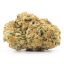 Sativa- Green Goblin Sativa- Green Goblin