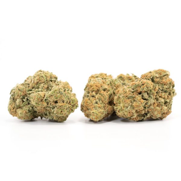 Sativa- Green Goblin Sativa- Green Goblin - Image 2
