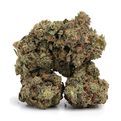 Sativa-Jack Diesel