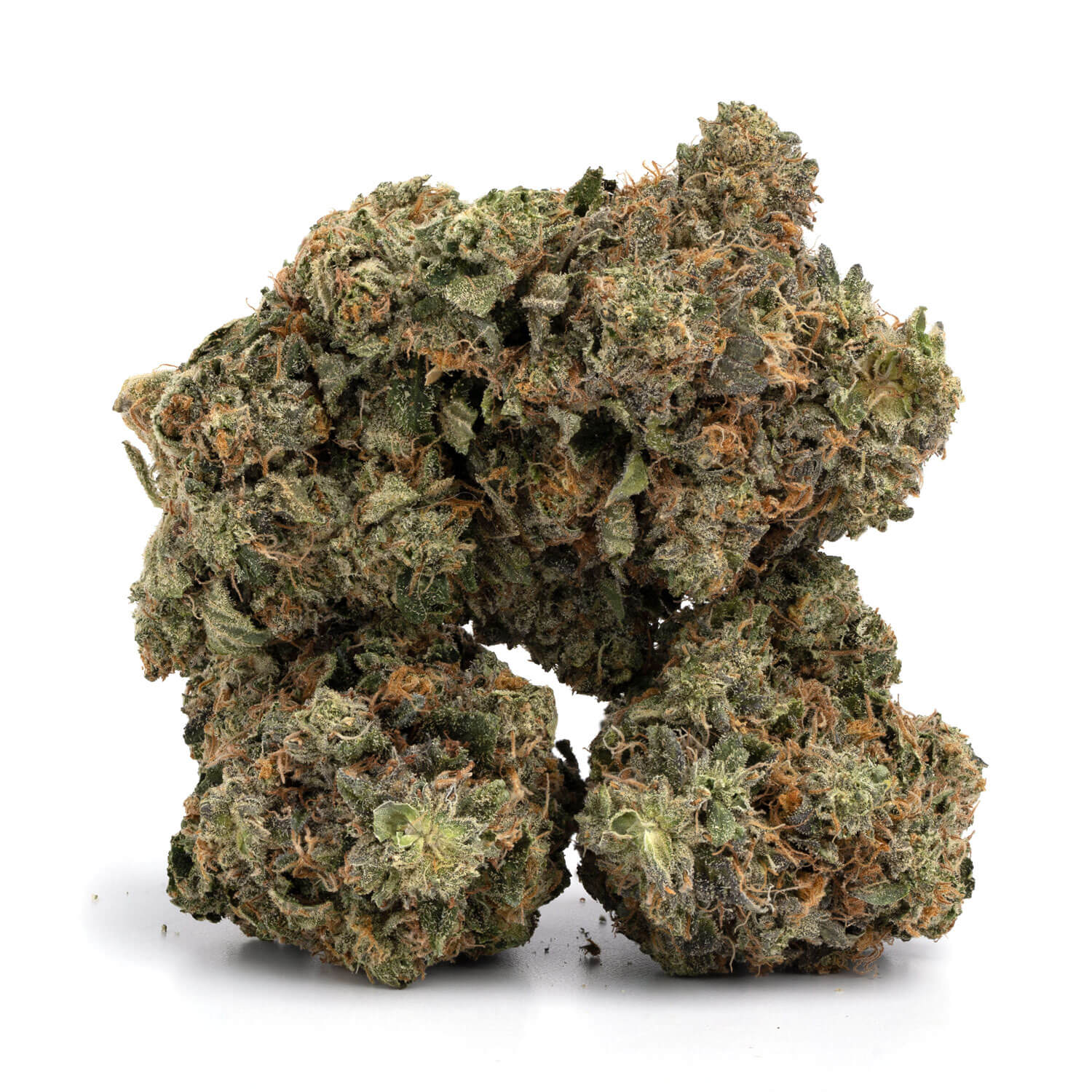 Sativa-Jack Diesel Sativa-Jack Diesel