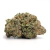 Sativa-Jack Herer