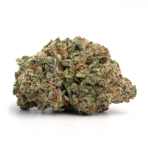 Sativa-Jack Herer