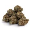 Hybrid-NYC Diesel