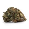 Hybrid-Purple Pineberry