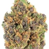 Sativa-Purple Tangie