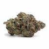 Sativa-Purple Tangie