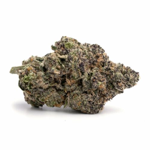 Sativa-Purple Tangie