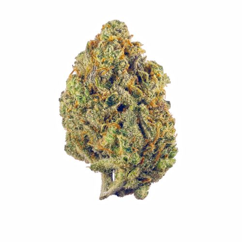 Sativa-Purple Haze