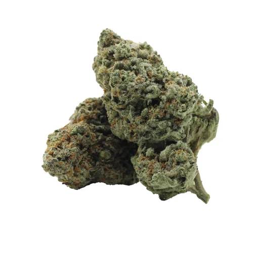 Sativa-Quantum Kush