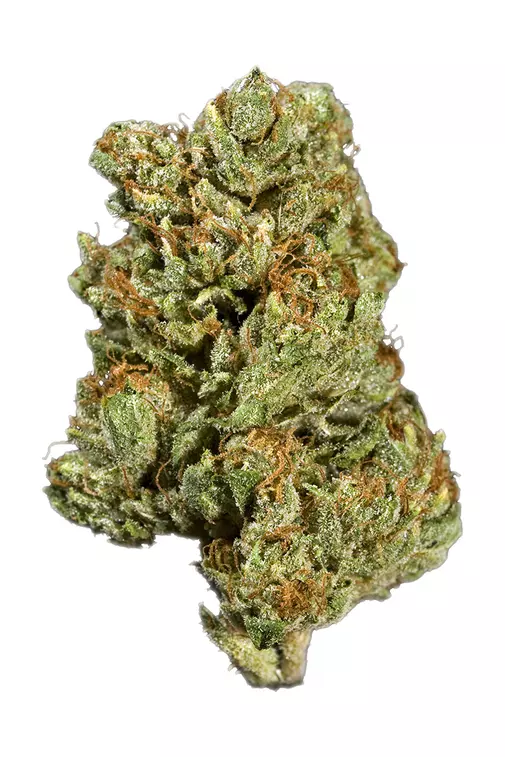 Hybrid: SENSE (SOUR KUSH) Hybrid: SENSE (SOUR KUSH)