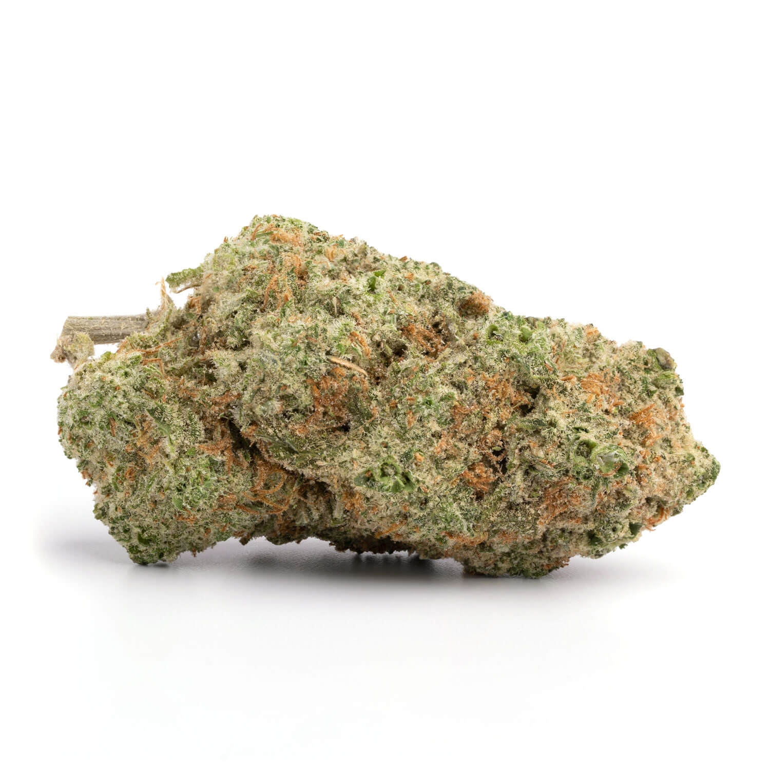 Sativa: TANGERINE DREAM Sativa: TANGERINE DREAM