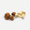 Vietnamese Magic Mushrooms-Dried Mushroom