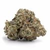 Hybrid: WHITE WIDOW