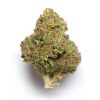Blue City aka Blue Diesel- HYBRID Blue City aka Blue Diesel- HYBRID