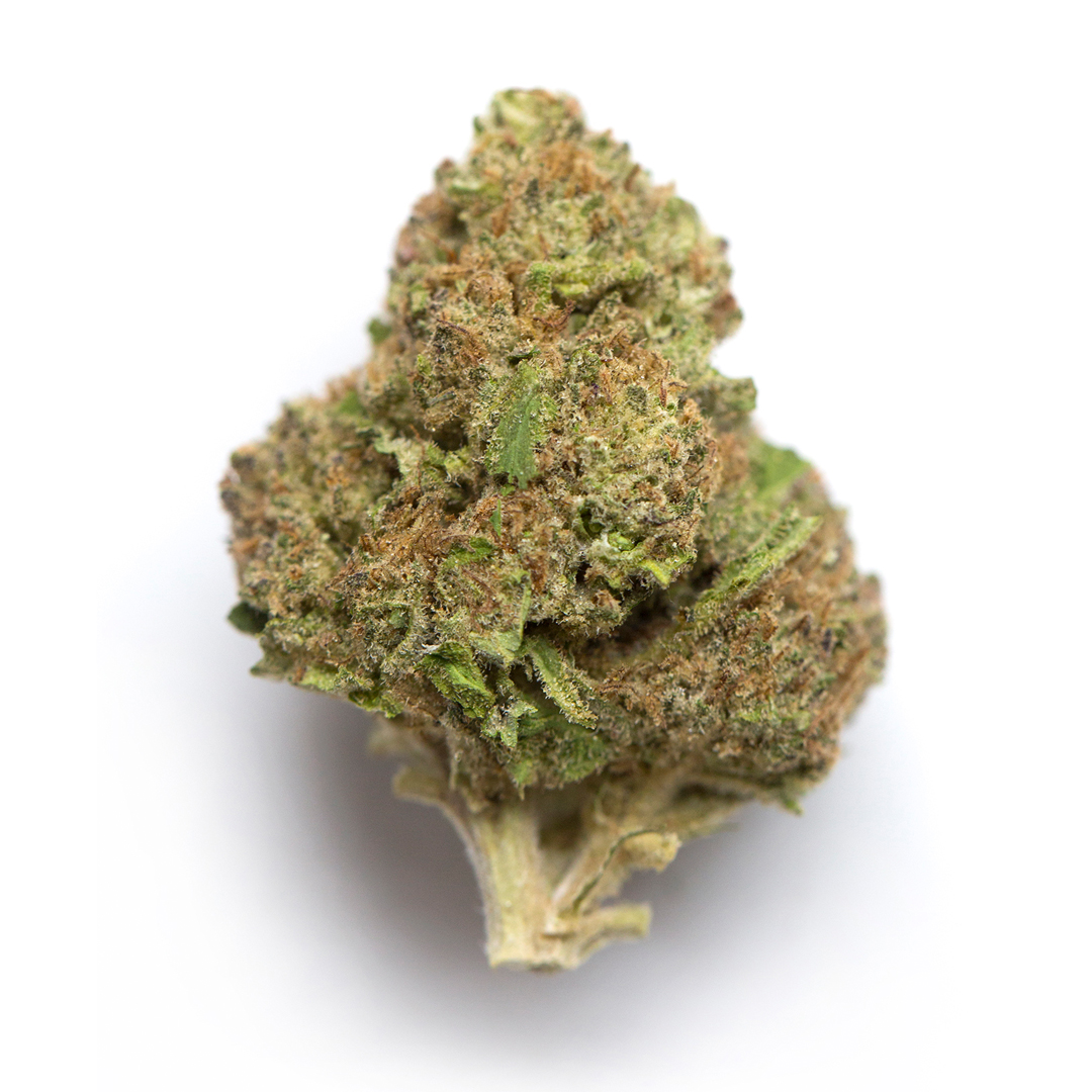 Blue City aka Blue Diesel- HYBRID Blue City aka Blue Diesel- HYBRID