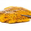 GrinchBud: Golden Pineapple Shatter GrinchBud: Golden Pineapple Shatter