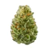 Sativa-Strawberry Cough Sativa-Strawberry Cough