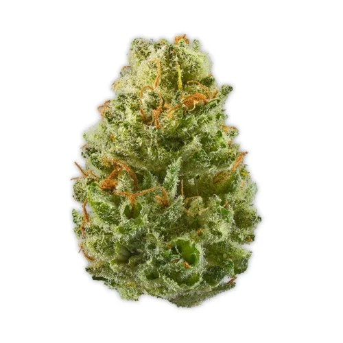 Sativa-Strawberry Cough