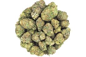 Hybrid: SENSE (SOUR KUSH) Hybrid: SENSE (SOUR KUSH) - Image 2