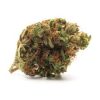 Indica: HIGHLANDS (2X AFGHAN) Indica: HIGHLANDS (2X AFGHAN)
