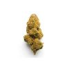 Indica - UK Cheese Indica - UK Cheese