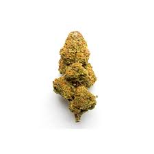 Indica - UK Cheese
