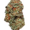 Indica -LA Confidential Indica -LA Confidential