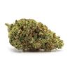 Sativa: DONEGAL Sativa: DONEGAL
