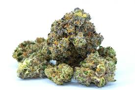 Hybrid: THC HYBRID