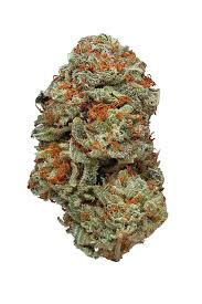 Indica -LA Confidential